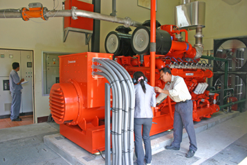 Siam biogas engine  