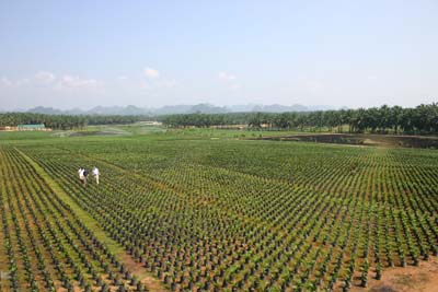 Nursery